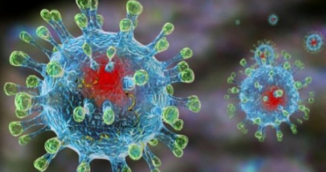 Защитит ли от коронавируса прививка от гриппа