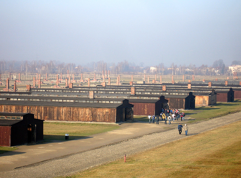 Бараки в Освенциме. Фото:&nbsp;Silar / Wikipedia