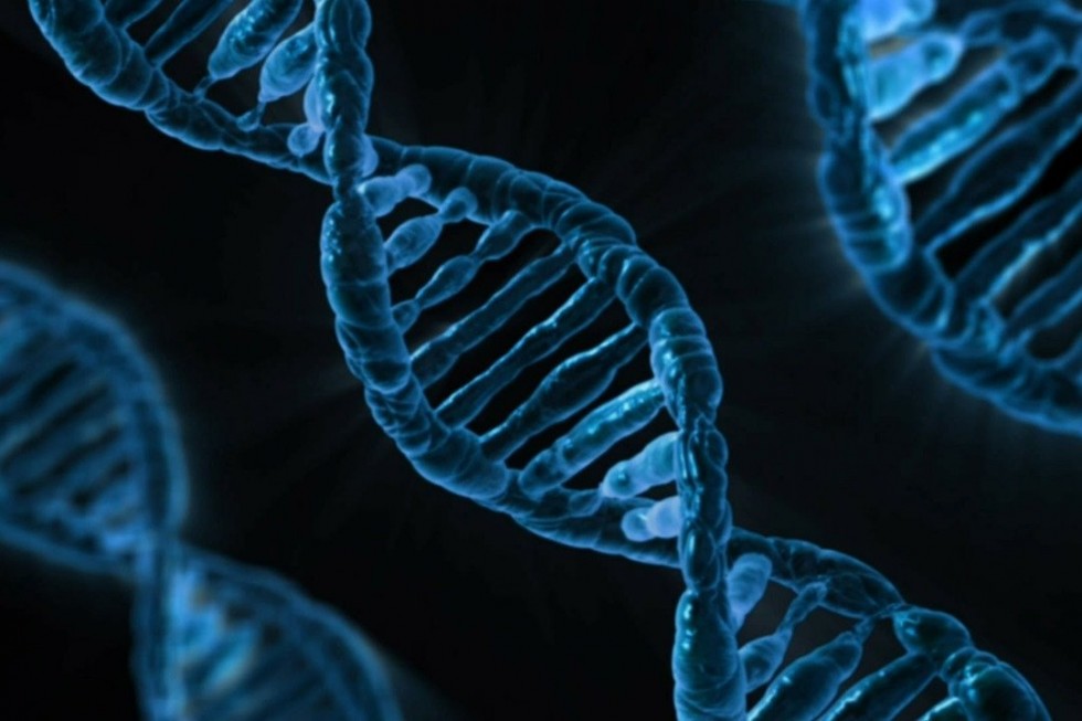 Молекула ДНК. Фото: pixabay
